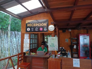 Rezeption