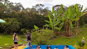 Une piscine entourée d’une végétation luxuriante et de bananiers.