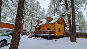 A wooden cabin surrounded by tall pine trees, with a covered porch and a staircase leading to the entrance.