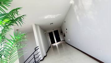 Un pasillo con una escalera, una puerta al final y una planta a la izquierda.