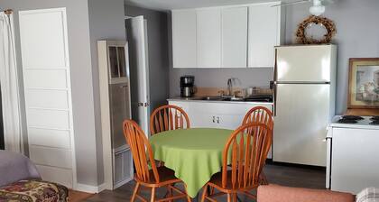 Charming 1-bedroom apt Buffalo WY, on creek, AC, WiFi, & 1 block from downtown.