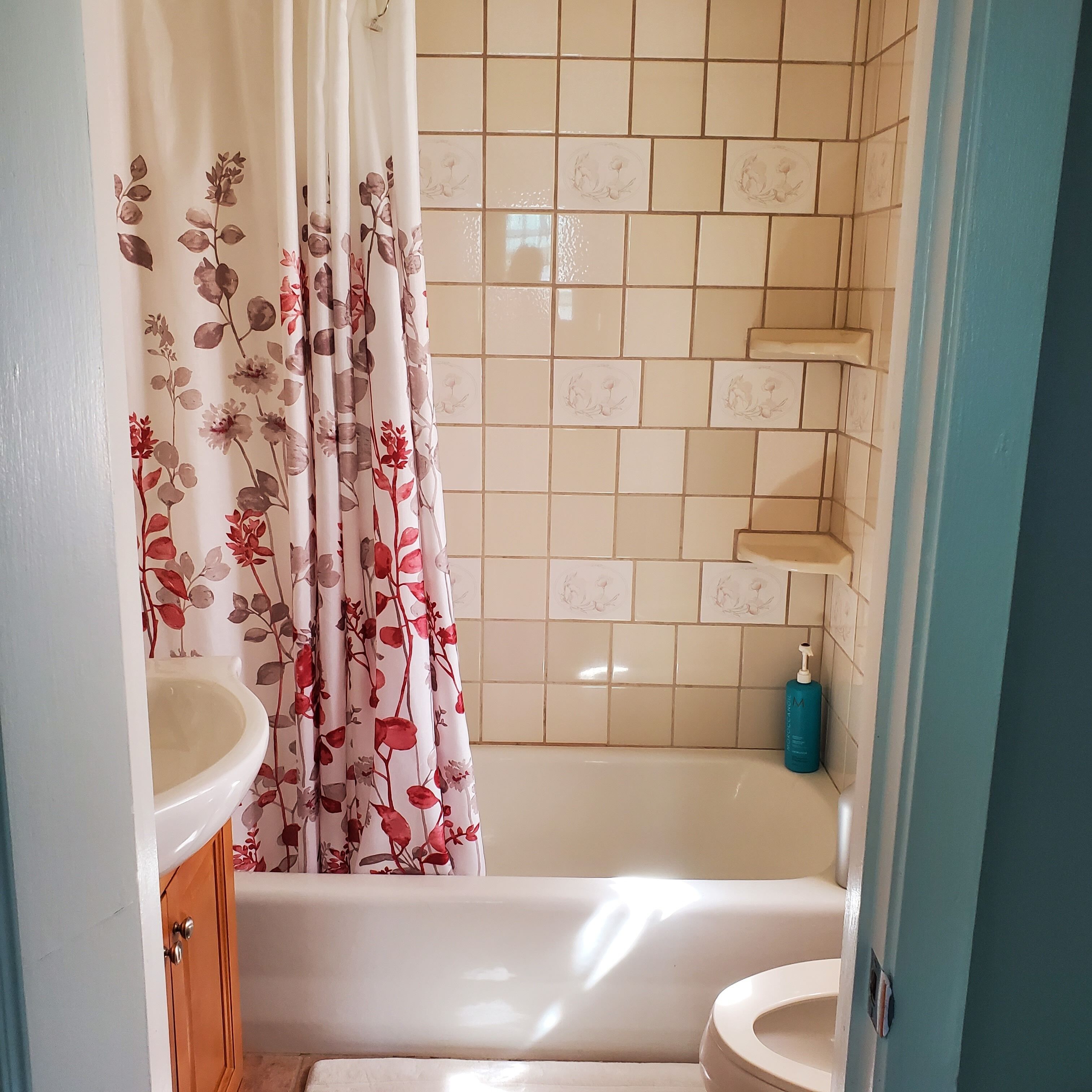 Hair dryer, towels, soap, toilet paper