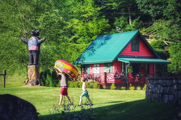 Exterior - Little-River-Petting Zoo-Stream-Pickleball?, Private Petting Zoo Cabin and Hot Tub (Watauga County)