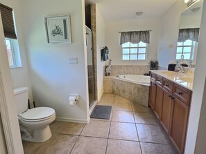 Shower, hair dryer