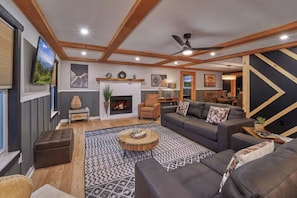 TV, fireplace, video games, DVD player