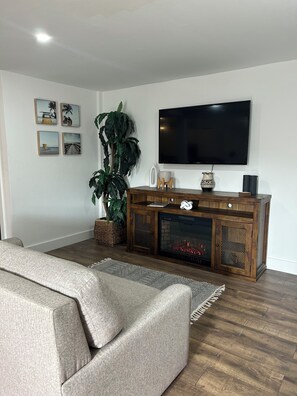 Smart TV, chimenea y libros 