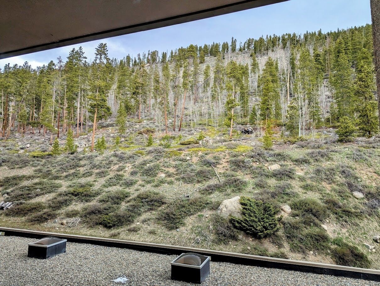 A view from a train window of a forested hillside with a gravel path and a small building in the foreground.