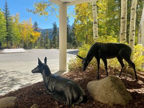 Exterior - Saints John 2531 (Keystone)