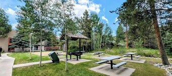 Flying Dutchman 1155