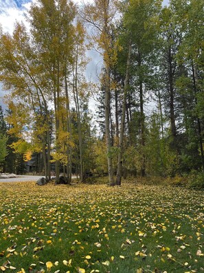 Exterior - Flying Dutchman 1155 (Keystone)