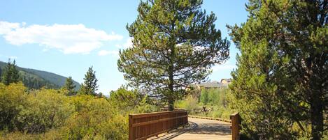 A wooden bridge in a natural setting with trees and hills in the background.