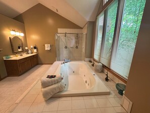 Shower, jetted tub, hair dryer, towels - Charming 4bdrm, WIFI, Screened porch, Wooded, New Firepit (Galena)