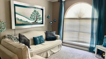 智能電視、書籍