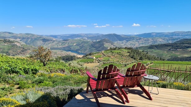 Una terrassa amb cadires Adirondack amb vista a una vinya i a turons ondulats.