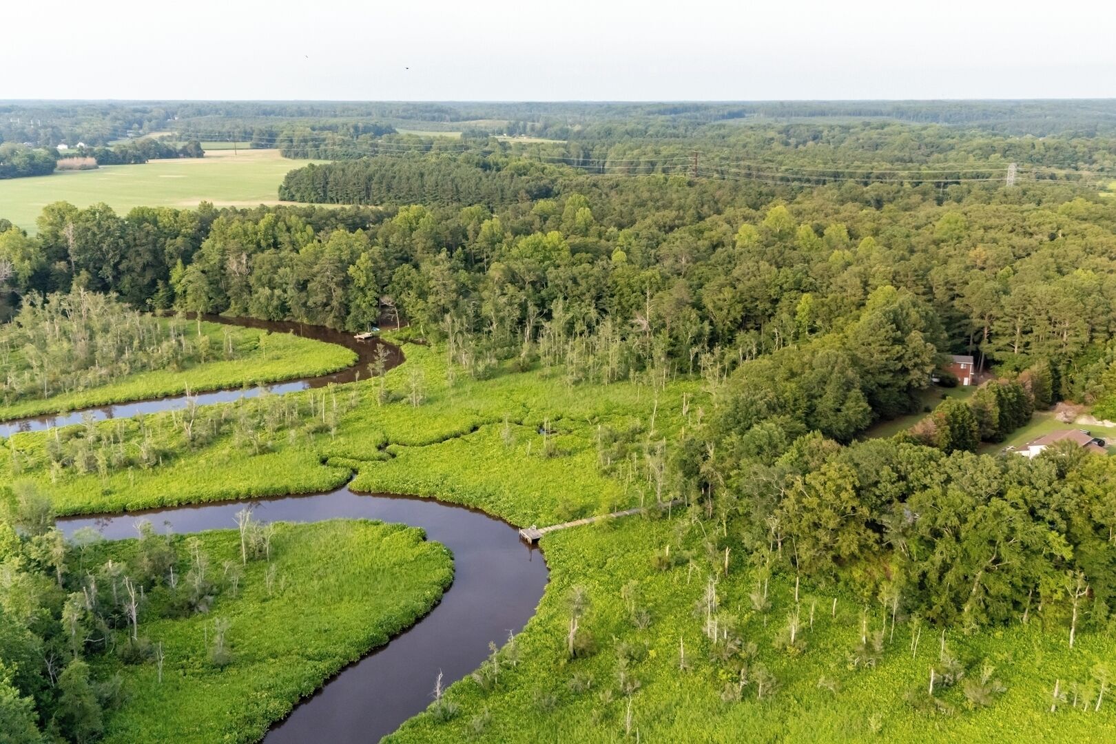 A river meandering through a densely forested area with a small house near the water's edge.