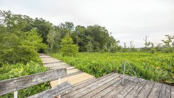 Àrea exterior de l'allotjament