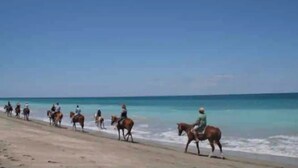 Ein Strand, auf dem Menschen mit Pferden am Ufer entlangreiten.