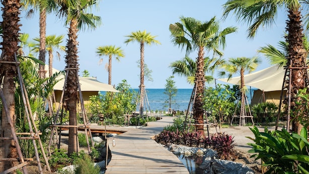 A wooden pathway leading to beachside accommodations with palm trees and a view of the sea.