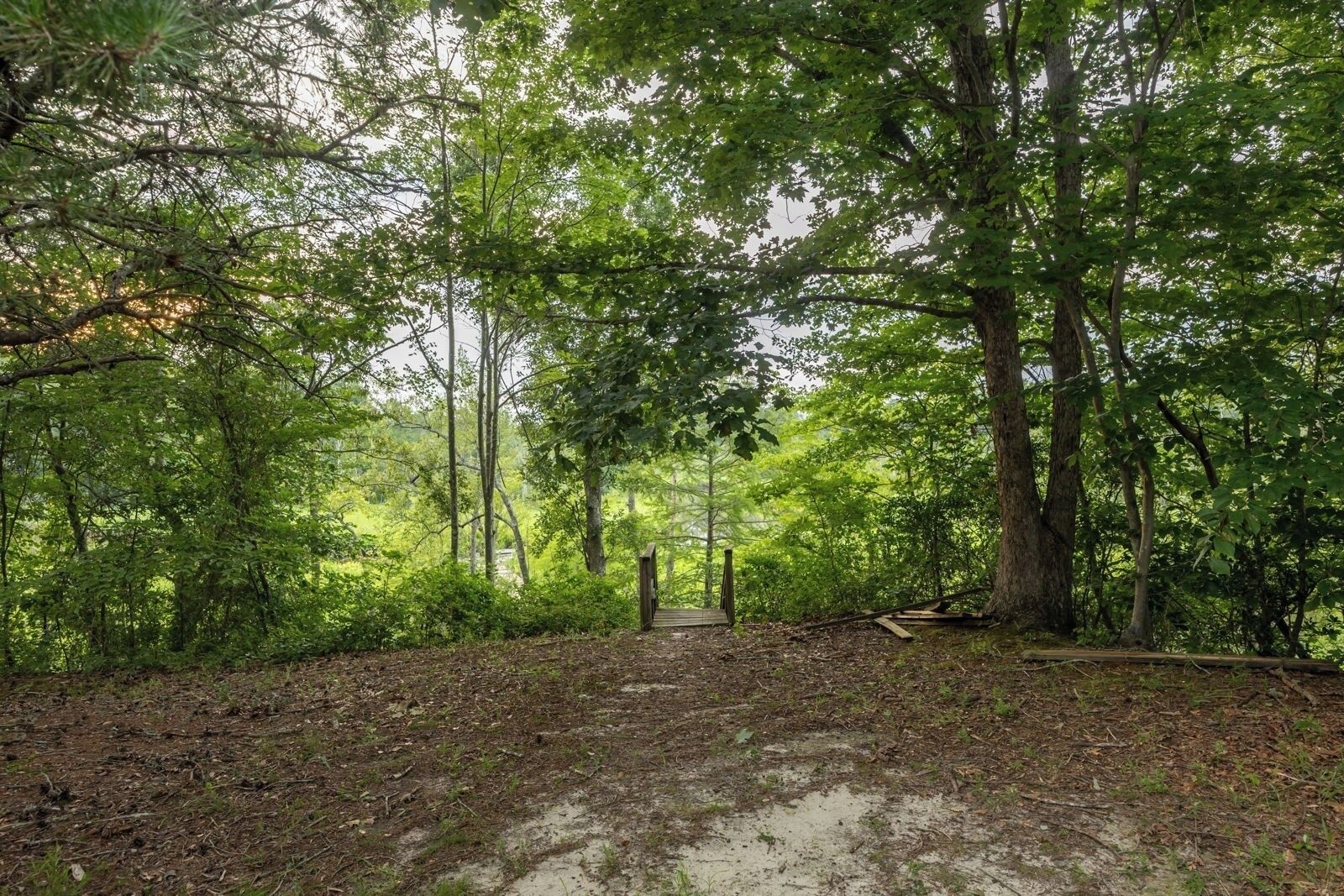 獨棟房屋 (4 Bedrooms) | 樓層平面圖