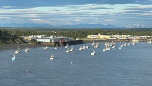 A marina with numerous boats docked, a pier with people, and a backdrop of mountains and trees.