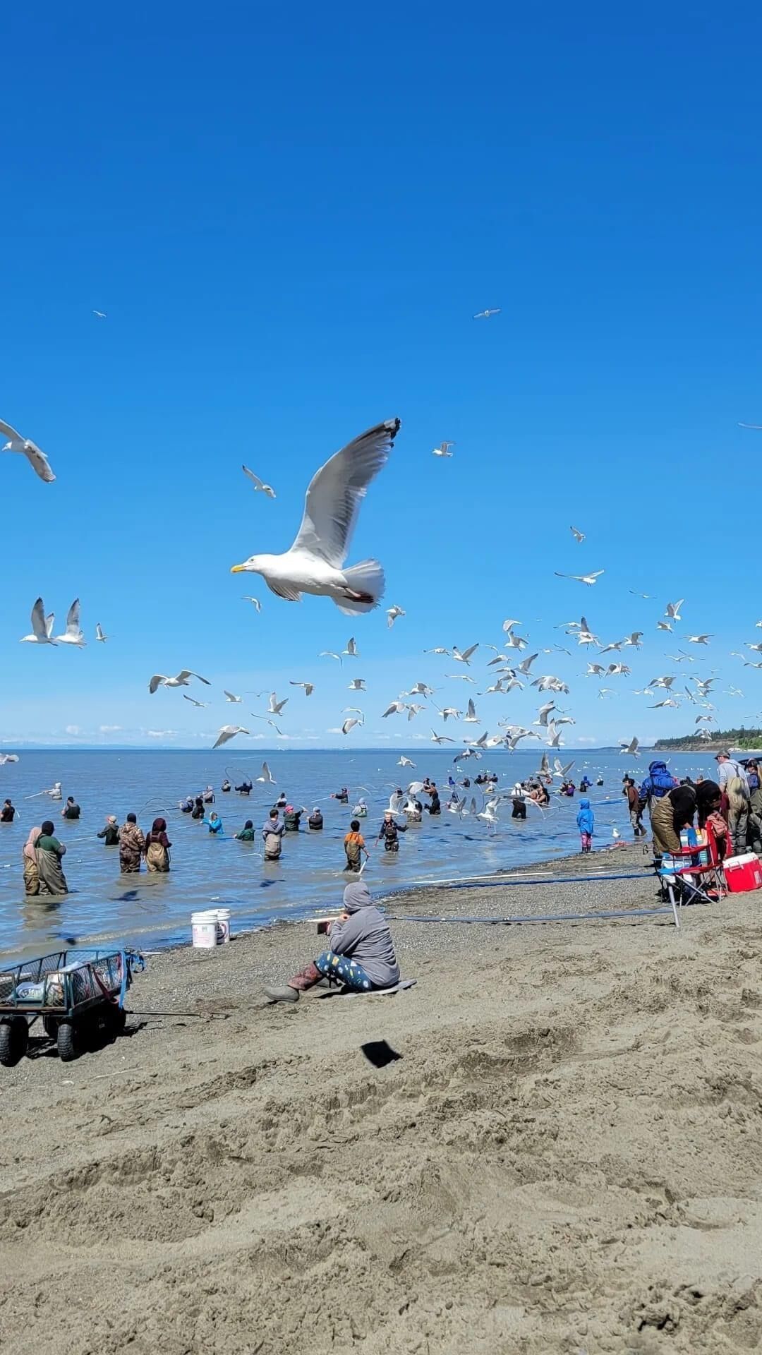 Plage