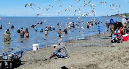 1.5 miles from the mouth of the Kenai River. In the heart of Kenai!