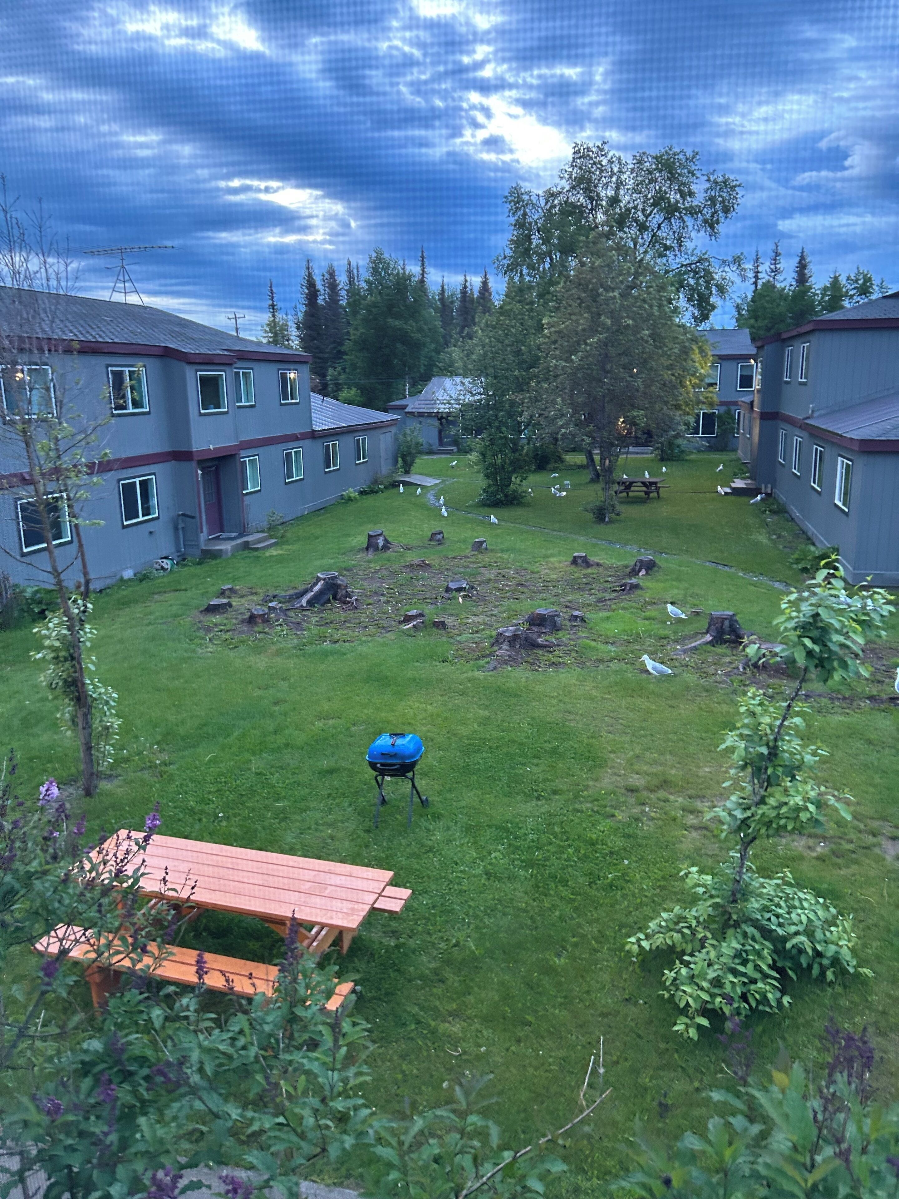 A residential area with multiple two-story houses, a grassy yard, and a picnic table.