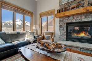 Smart TV, fireplace, books, stereo