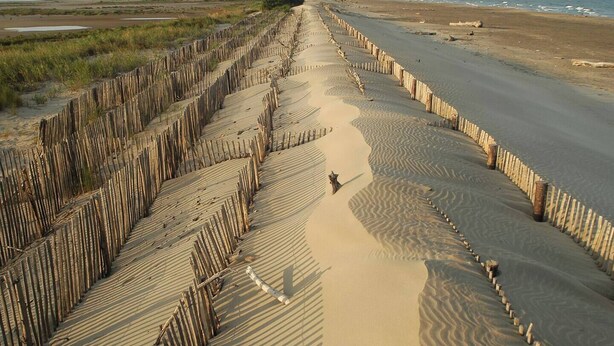 A sandy beach with wooden barriers and a clear view of the ocean.