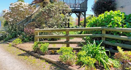 Tikitere Treasure - Peace, serenity and plenty of birdsong.
Studio unit.