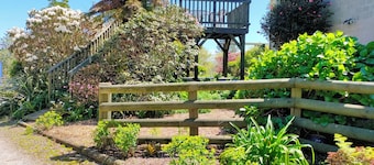 Tikitere Treasure - Peace, serenity and plenty of birdsong.
Studio unit.