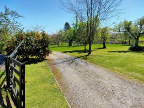 Property grounds - Tikitere Treasure - Peace,  serenity and plenty of birdsong. 
Studio unit. (Rotorua)