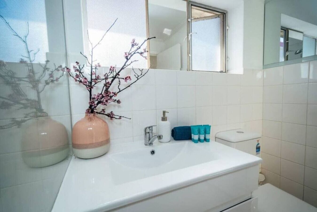 Secador de pelo, jabón y champú