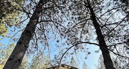 Cozy apartment nestled in the hills of Kettle Falls overlooking Lake Roosevelt.