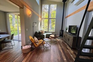 Smart TV, fireplace, books