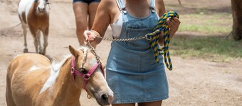 Ven a disfrutar, conectar contigo en compañía de la naturaleza,  Ven a vivir!