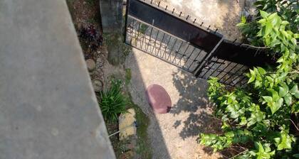 Brahmaputra Homestay