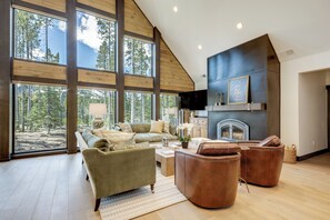 TV, fireplace, books, stereo