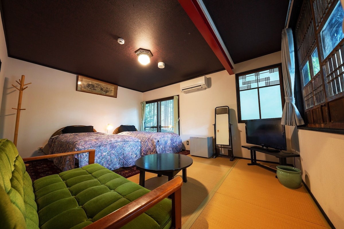 A room with a bed, a green sofa, a small table, a television, and a window with a view.