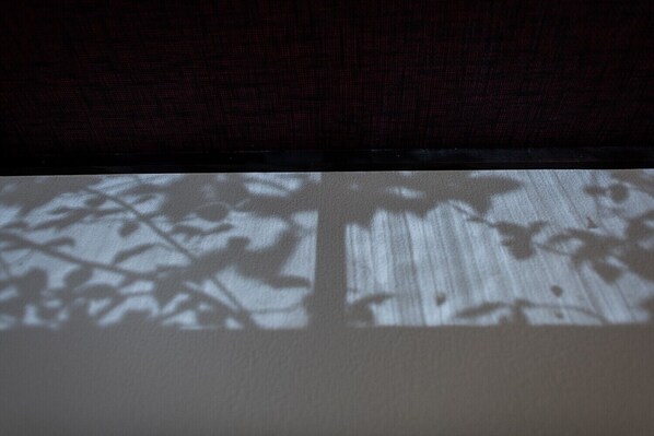 A projection of tree shadows on a wall.