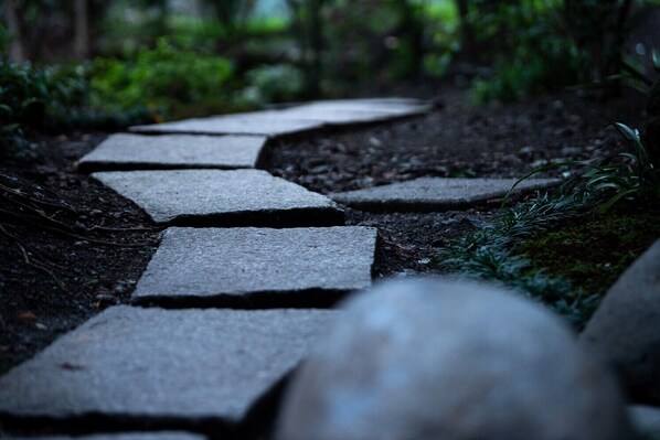A stone pathway in a forested area.