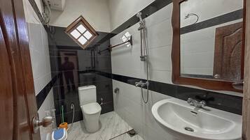 Shower, hair dryer, bidet, towels