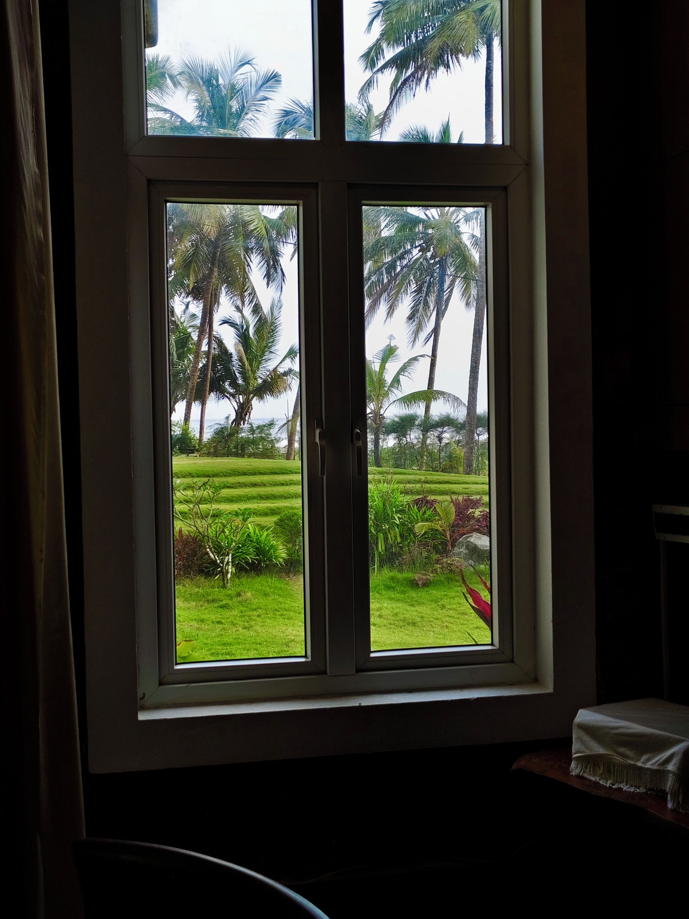 A room with a large window overlooking a lush garden with palm trees and a view of the sea.
