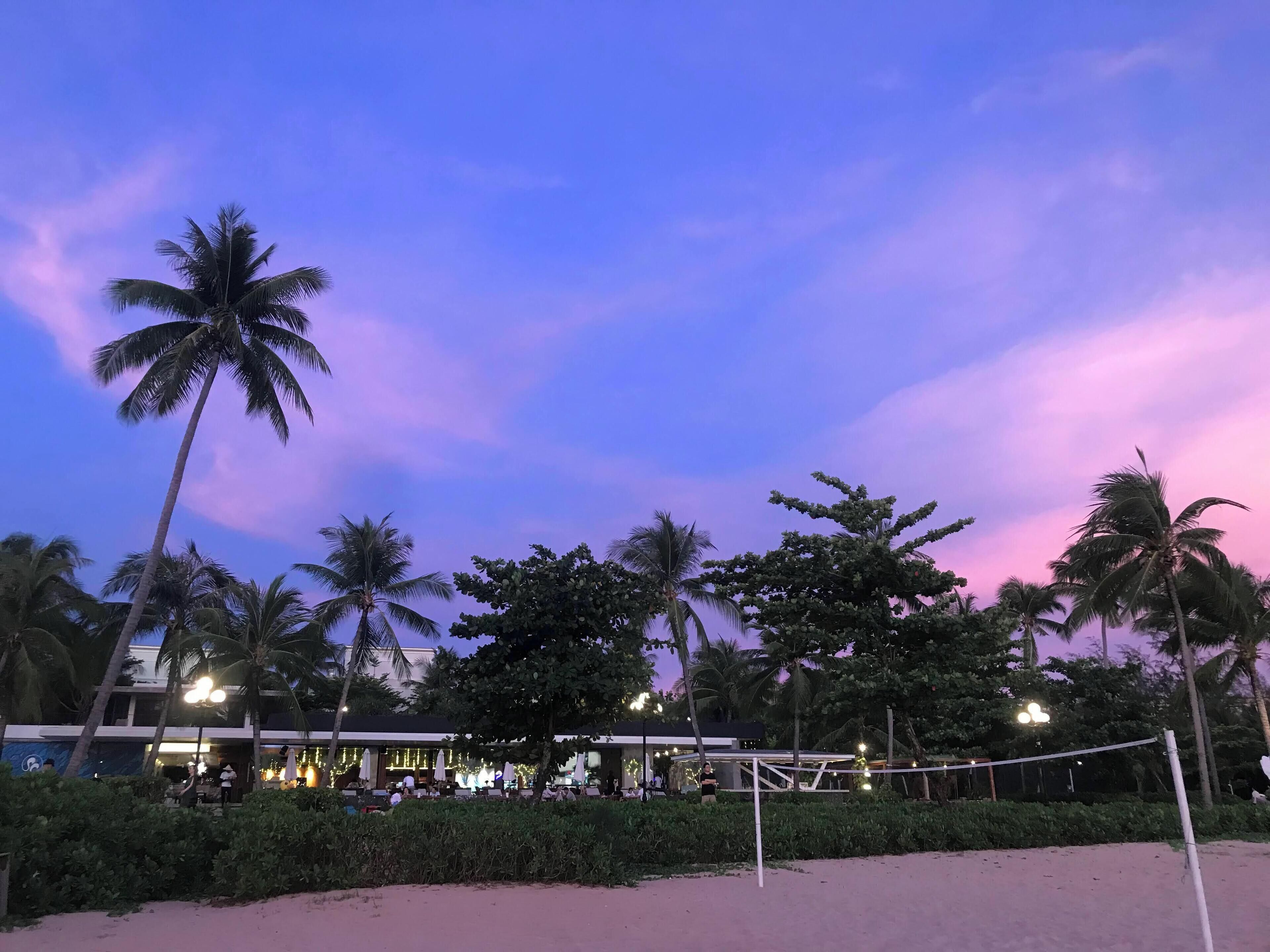 Un hôtel situé en bord de mer, agrémenté de palmiers, d’un filet de volley-ball et d’un bâtiment doté d’une terrasse.