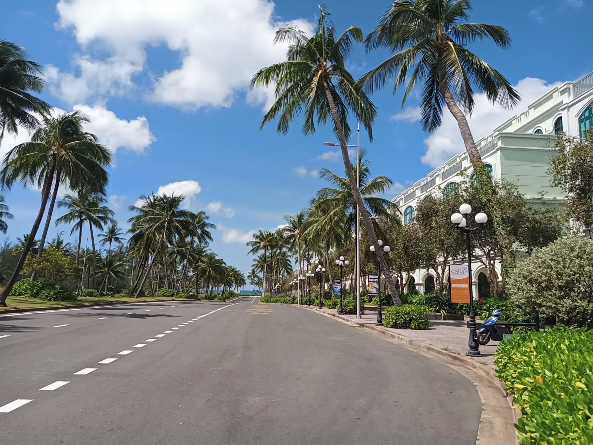 A street lined with palm trees and a building with arched windows.