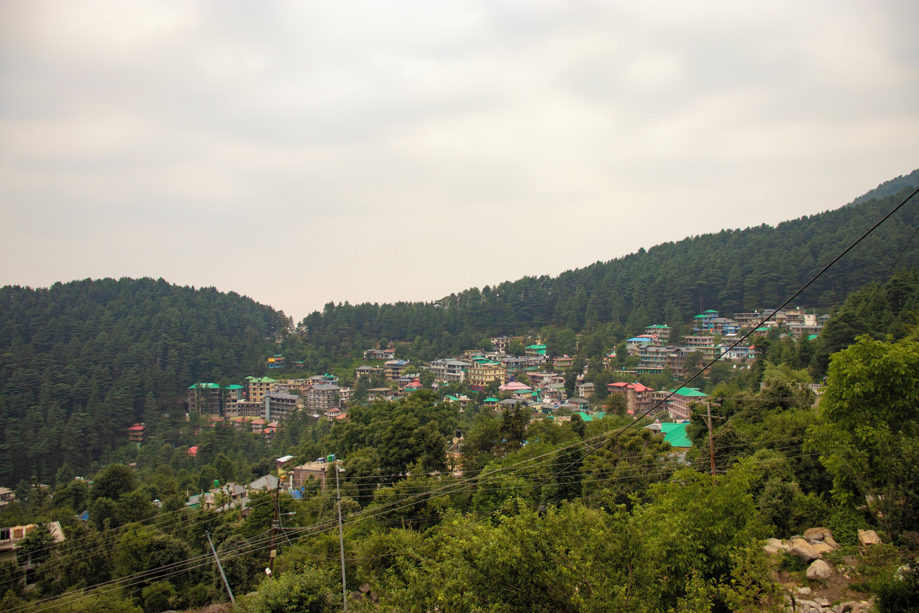 A hillside village with buildings nestled among dense forests.