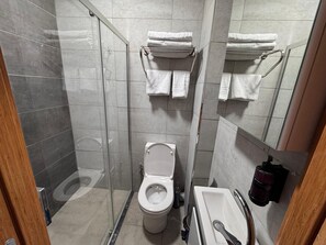 Un baño moderno con ducha envuelta en vidrio, inodoro y lavamanos.