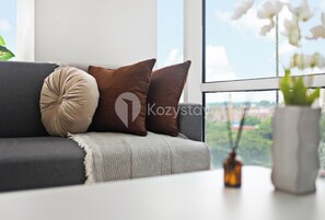 Apartment, 1 Schlafzimmer, Stadtblick | Wohnbereich