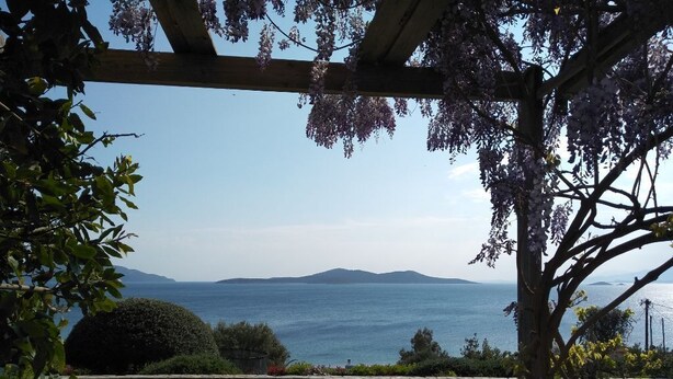 Property grounds - Blue Horizon Retreat (Nea Styra)