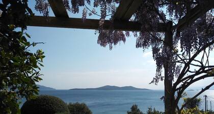 Blue Horizon Retreat